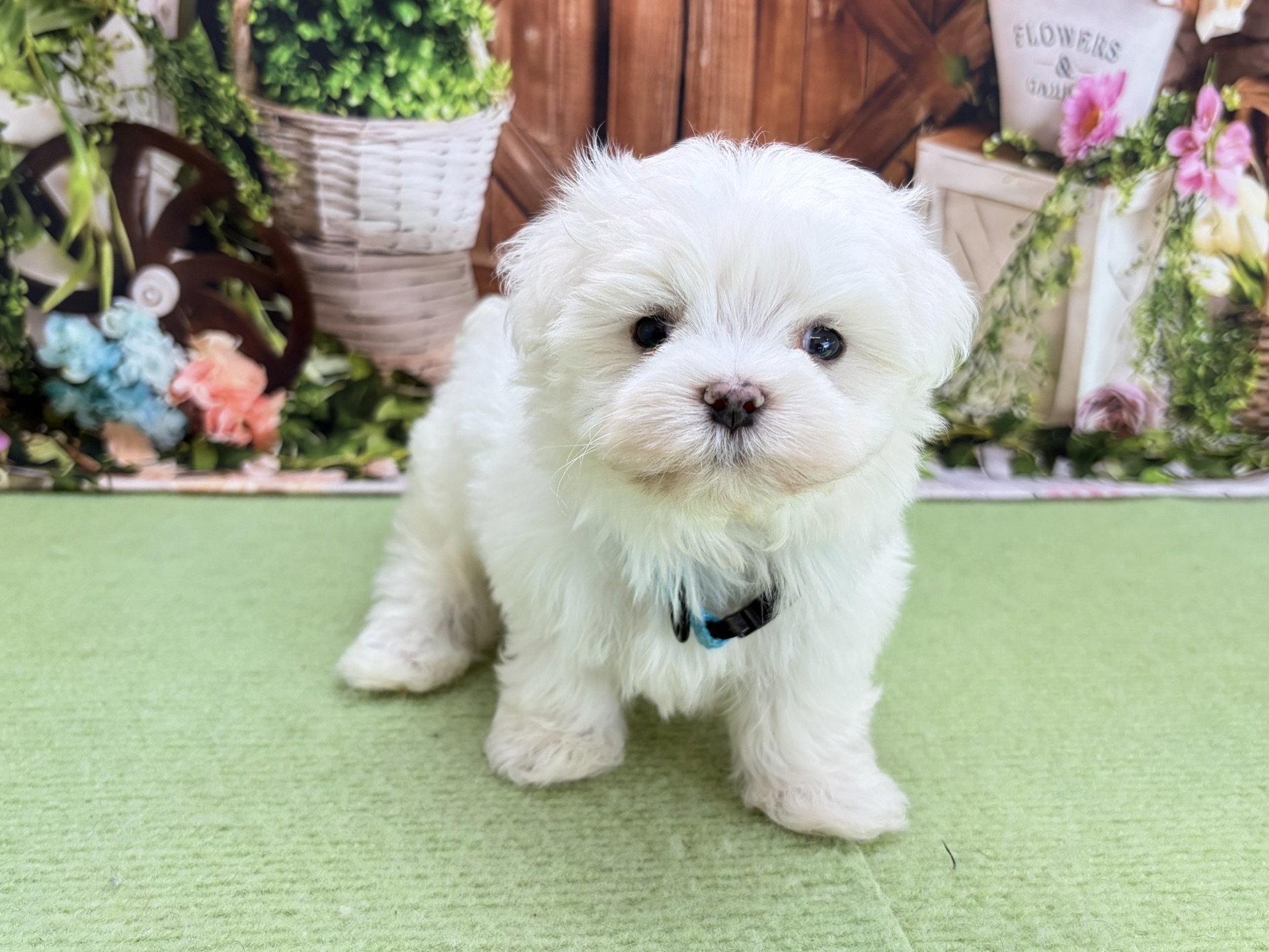 赤ちゃん写真3-1