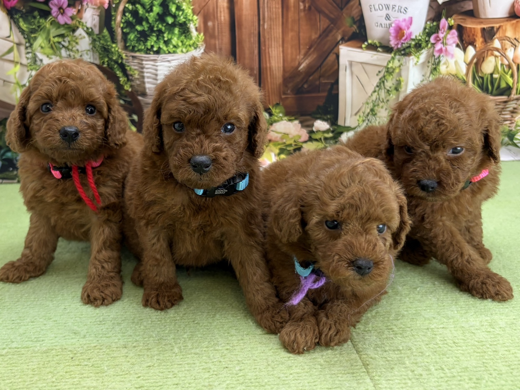 赤ちゃん写真2-3