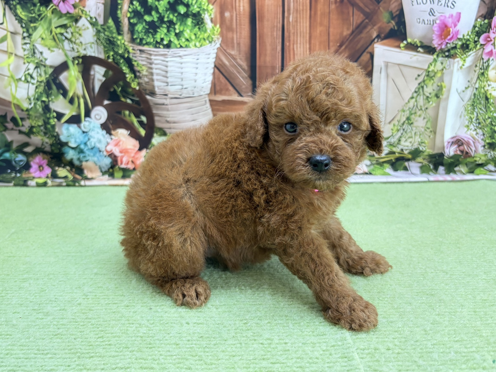 赤ちゃん写真2-2