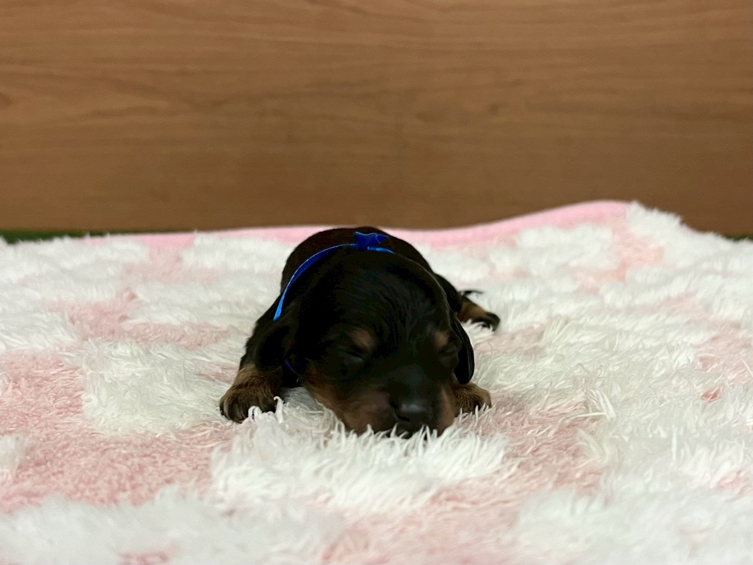 赤ちゃん写真1-1