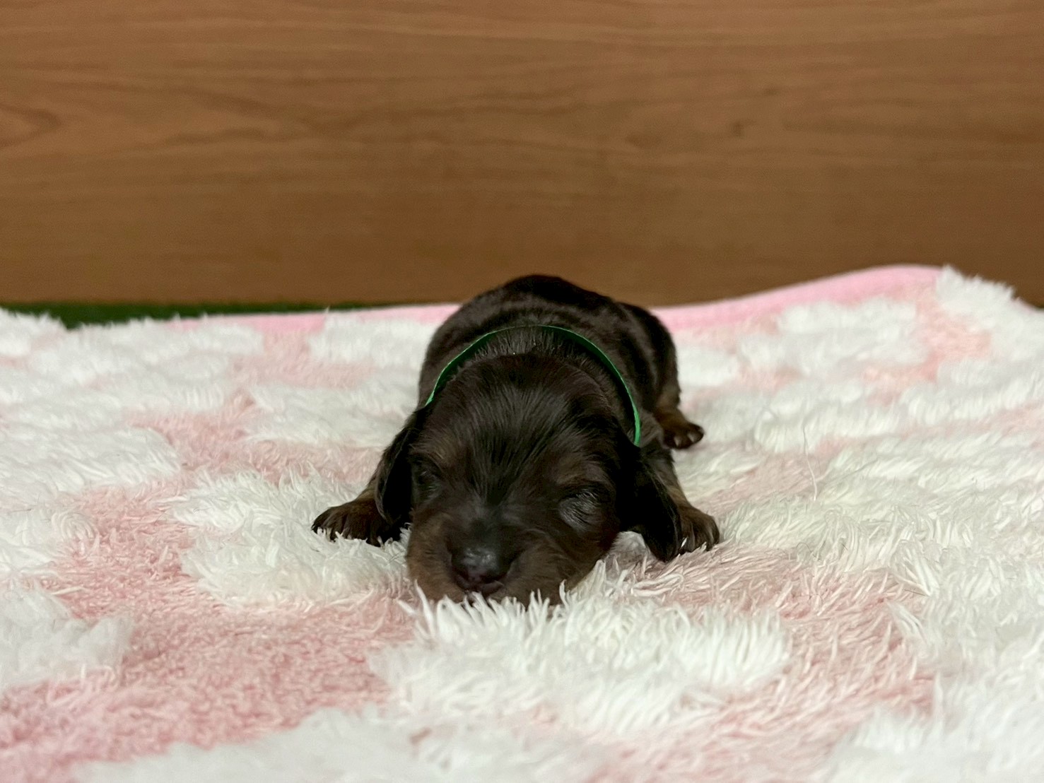 赤ちゃん写真1-1