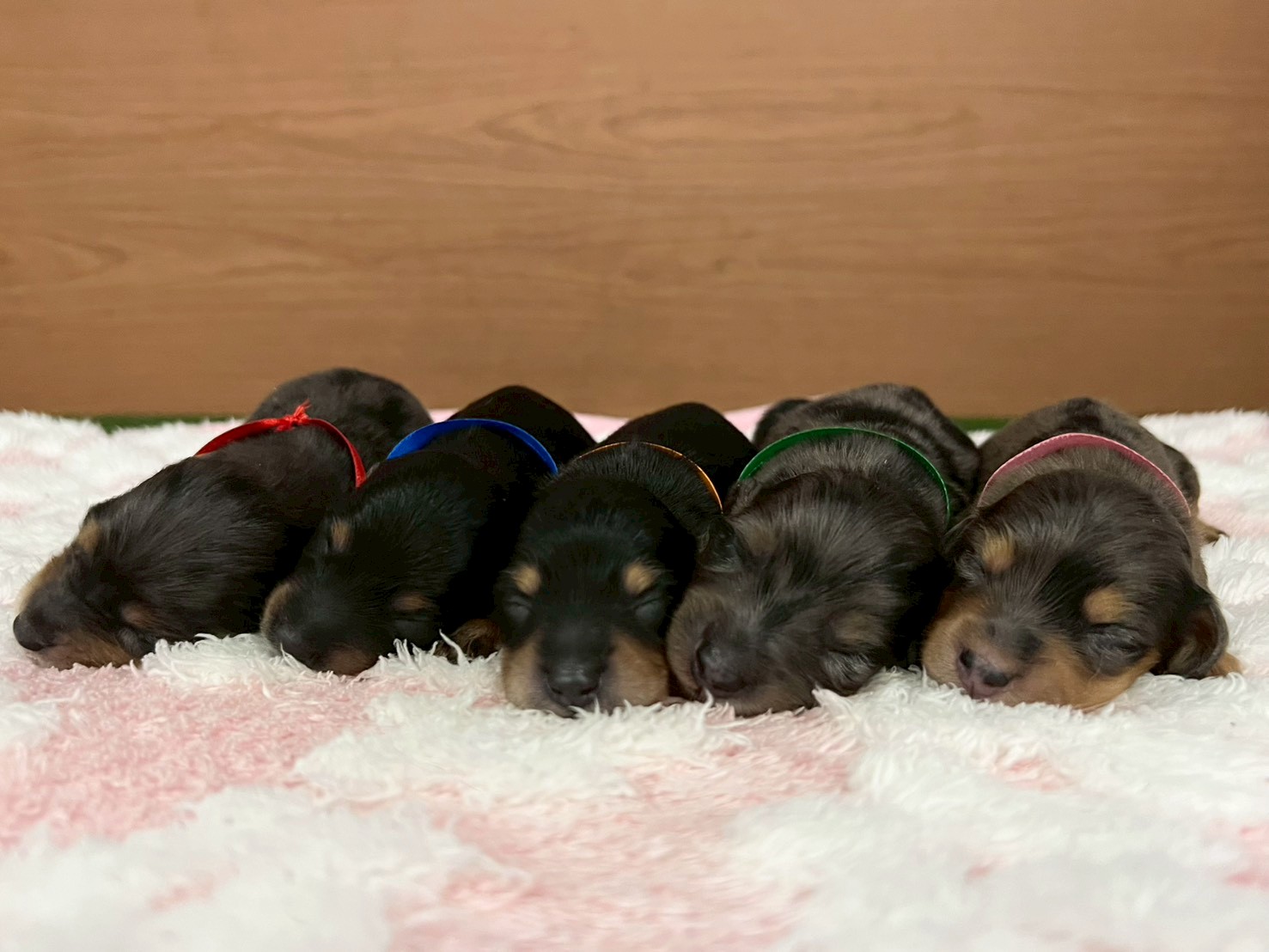 赤ちゃん写真1-3