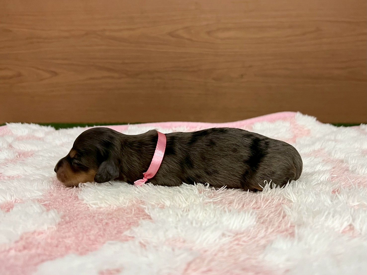 赤ちゃん写真1-2