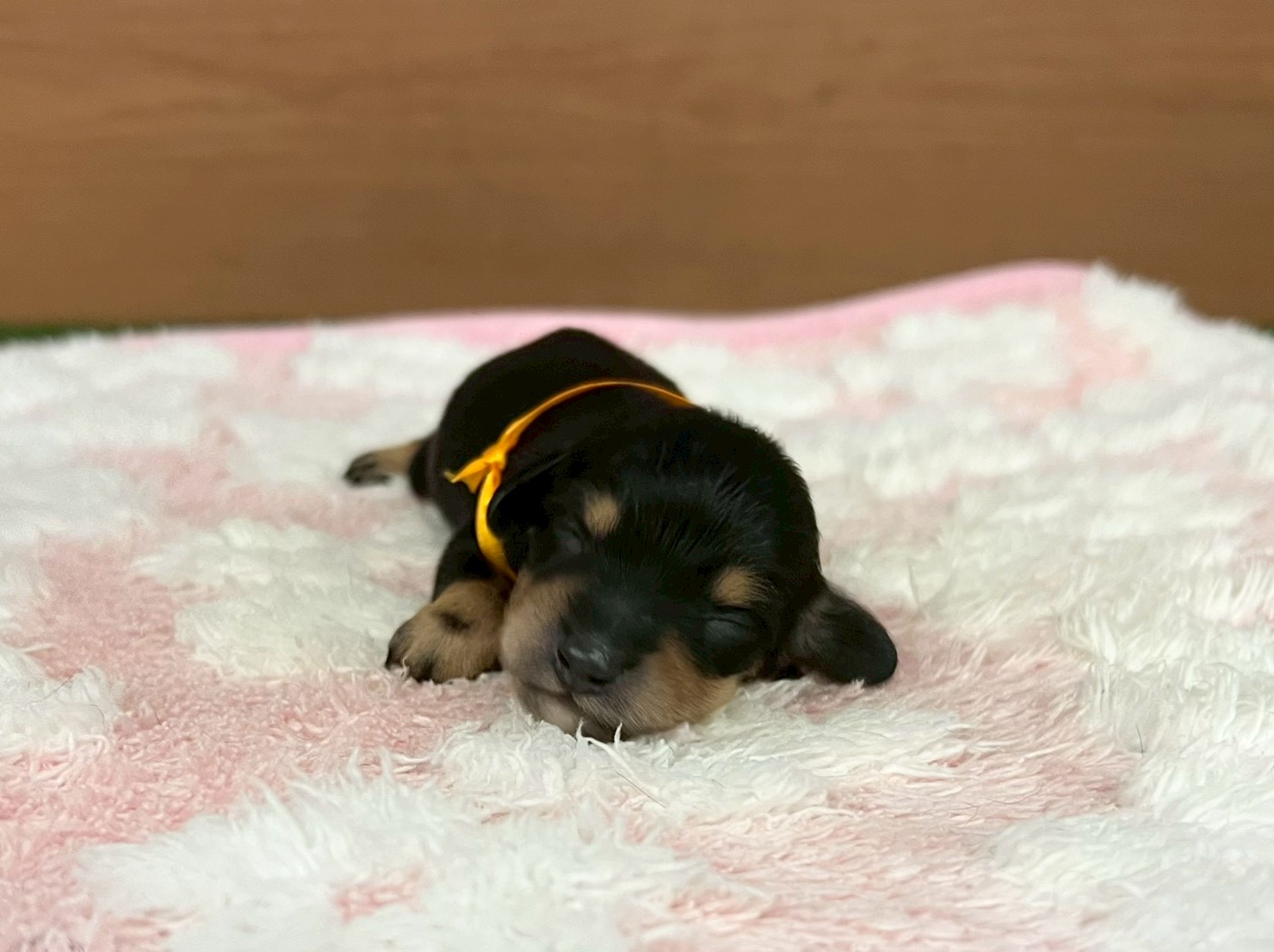 赤ちゃん写真1-1