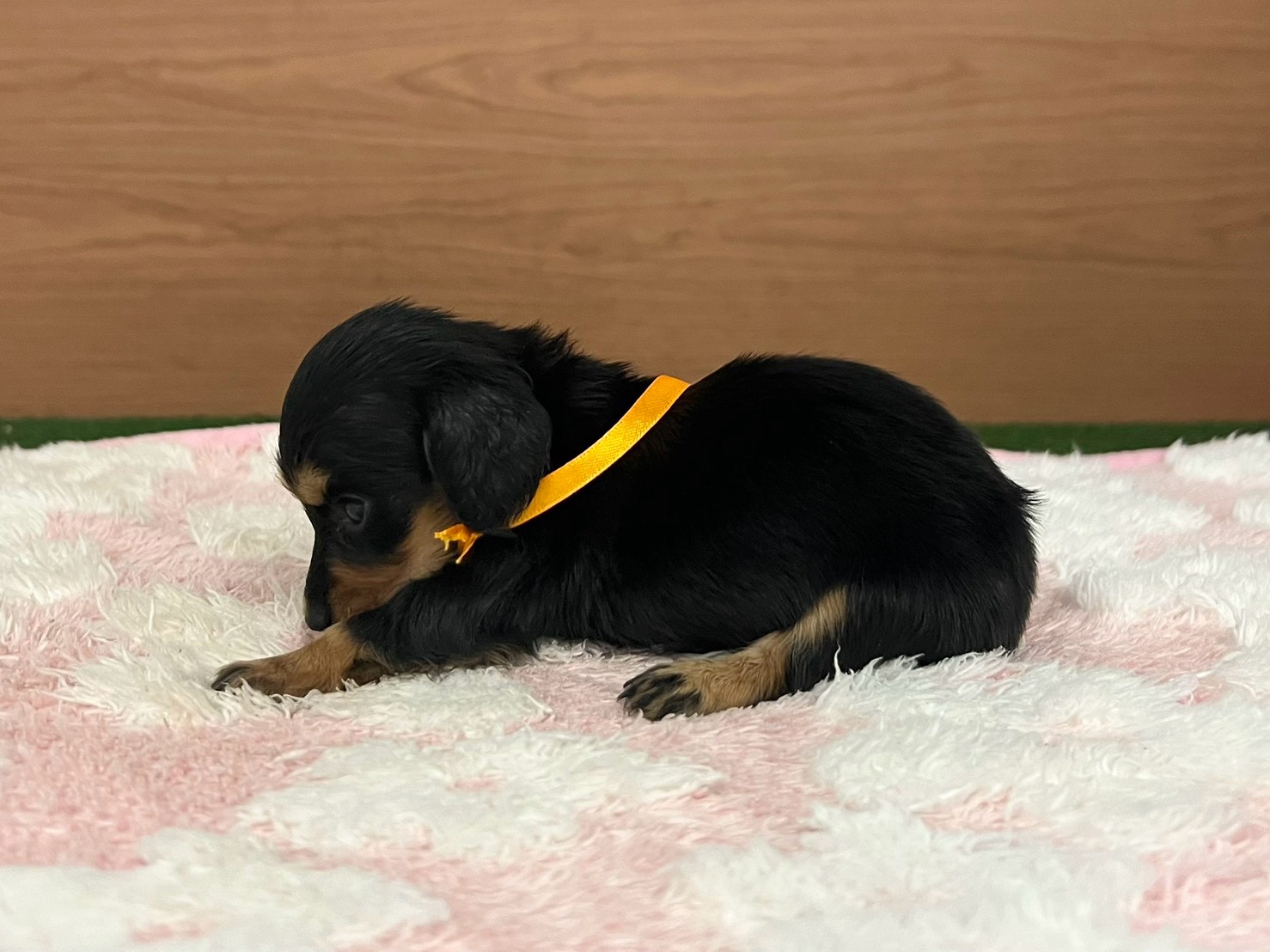 赤ちゃん写真2-2