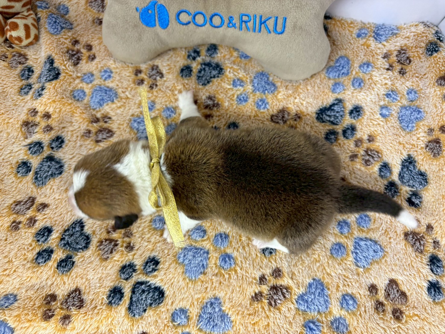 赤ちゃん写真1-3