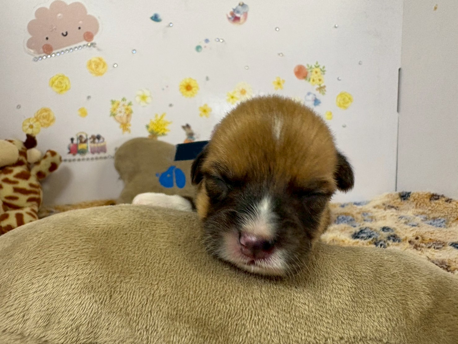 赤ちゃん写真1-1
