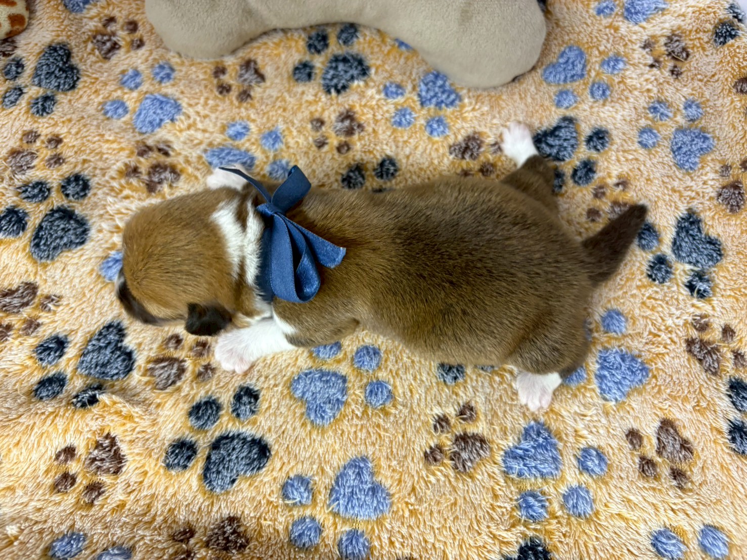 赤ちゃん写真1-3