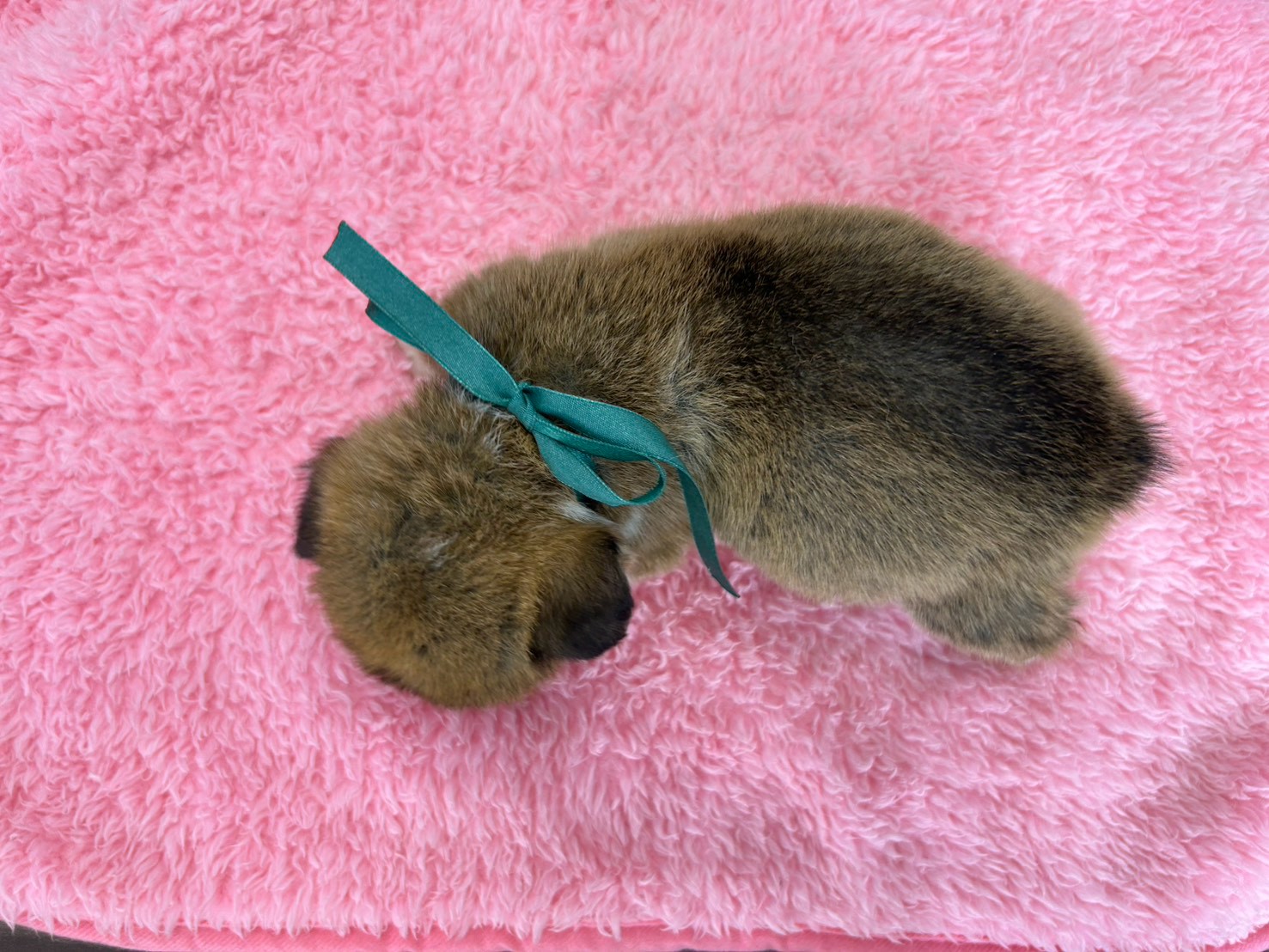 赤ちゃん写真2-3