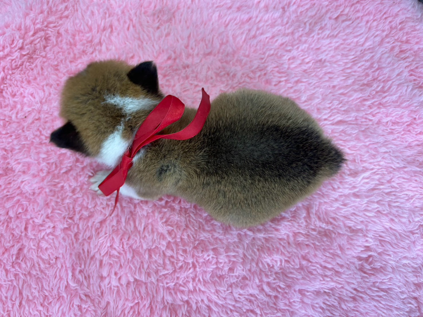 赤ちゃん写真2-3