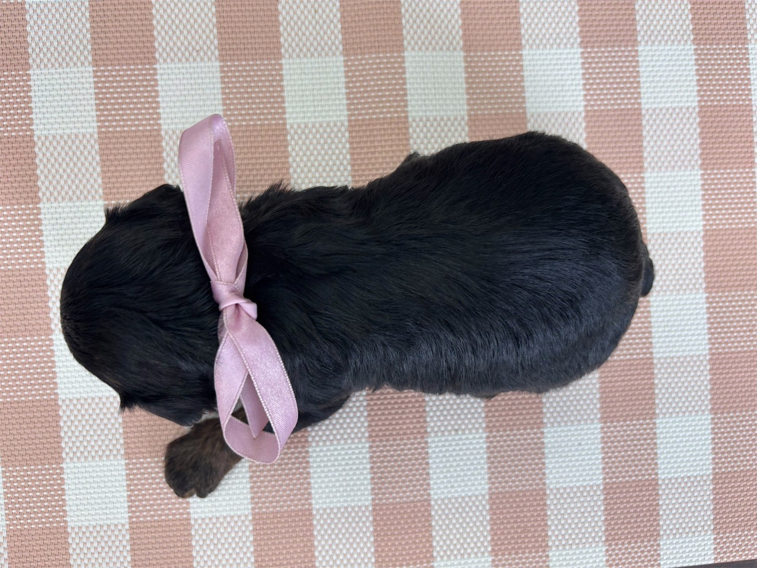 赤ちゃん写真2-3