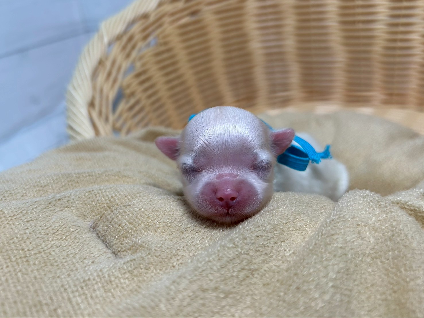 赤ちゃん写真1-1