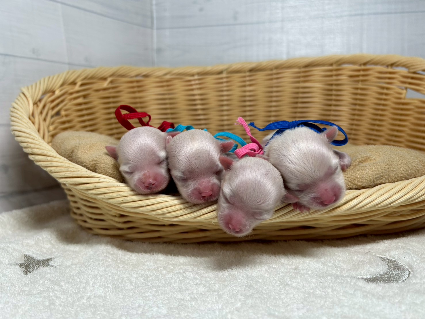 赤ちゃん写真1-3