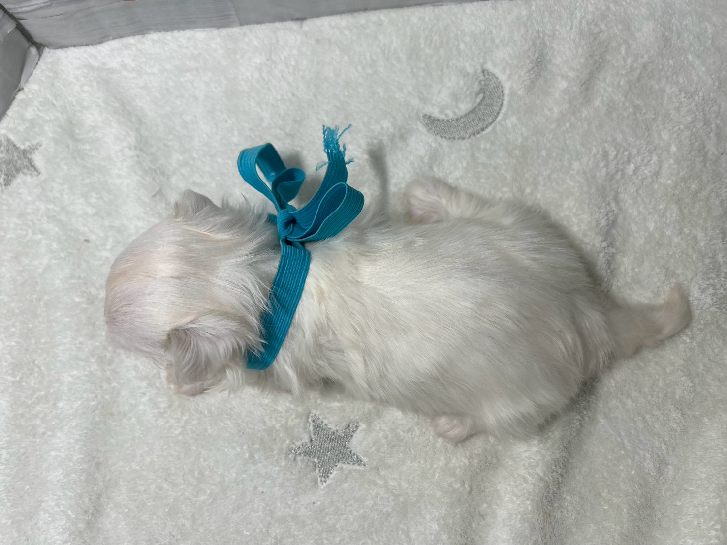 赤ちゃん写真2-3