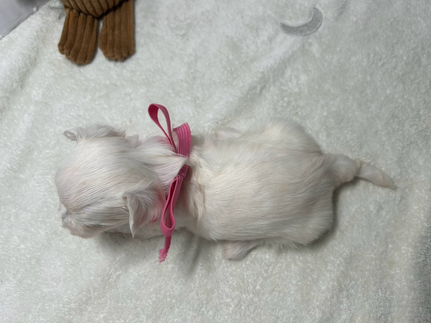 赤ちゃん写真2-3
