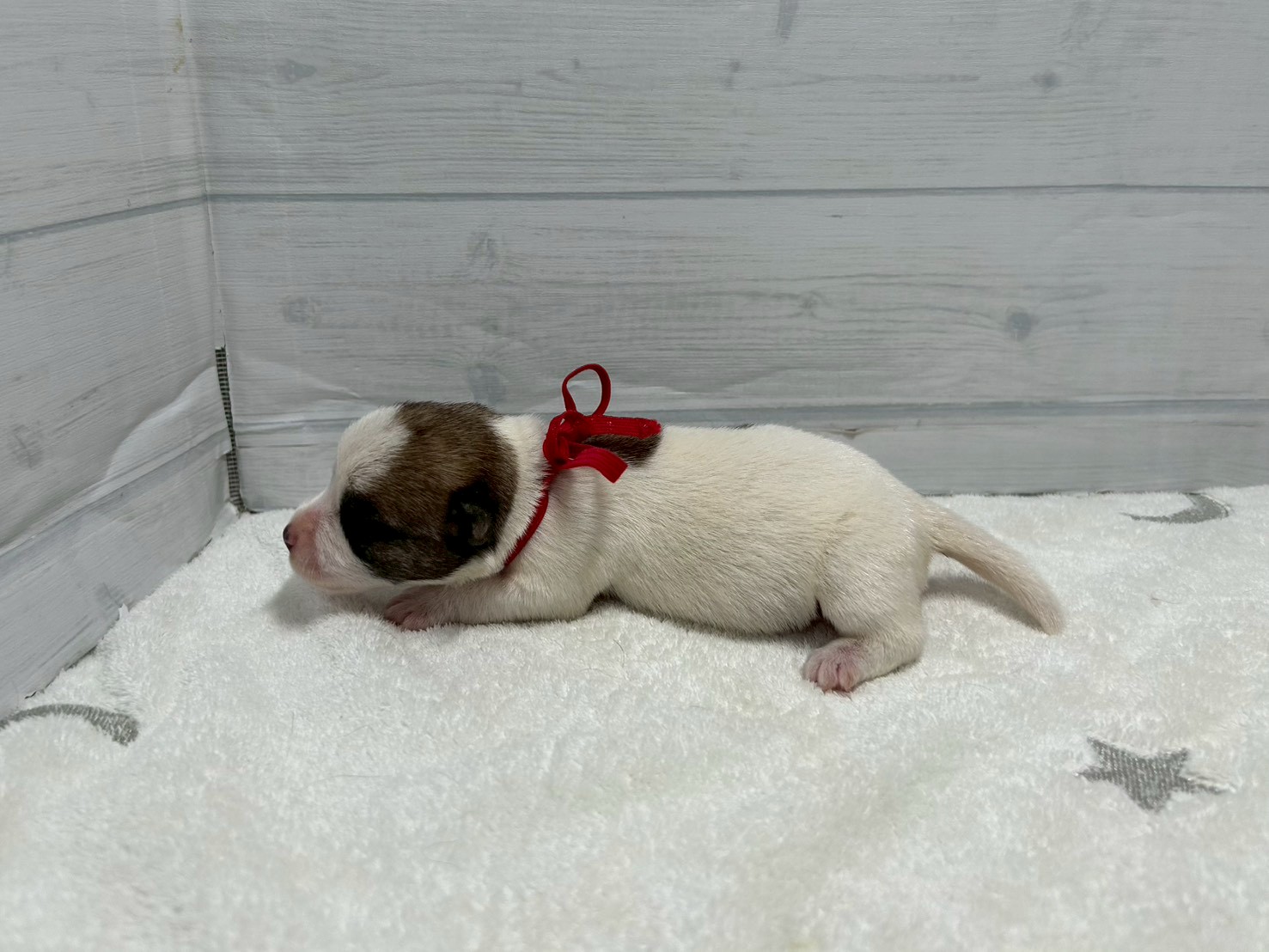 赤ちゃん写真1-2