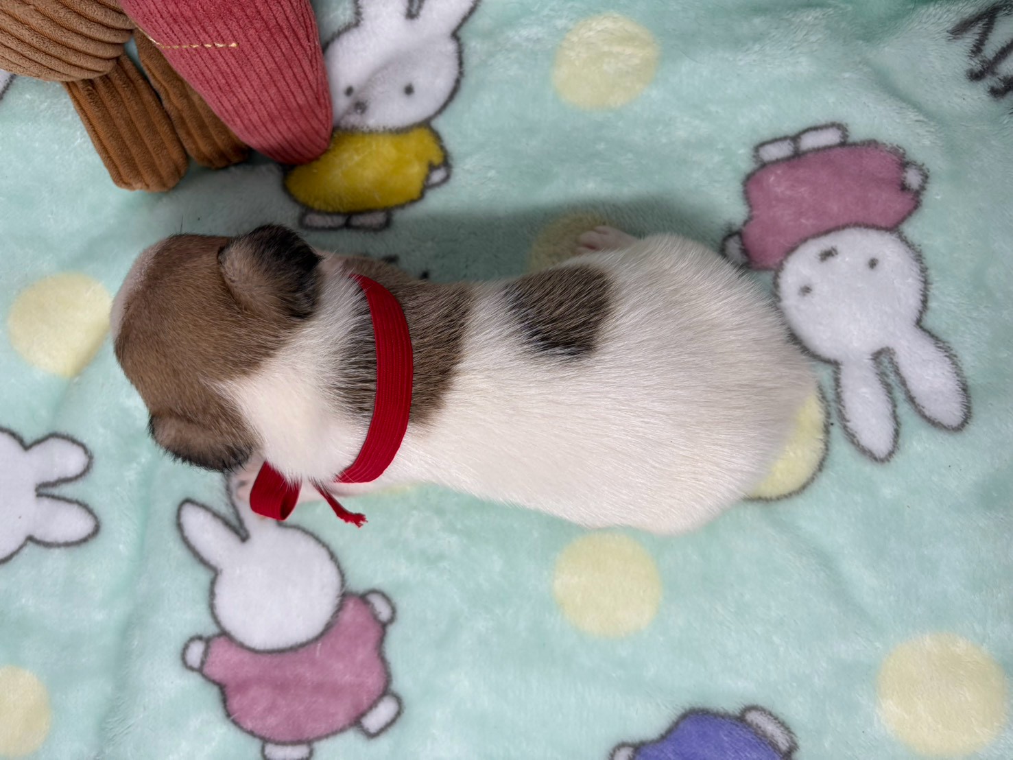 赤ちゃん写真2-3