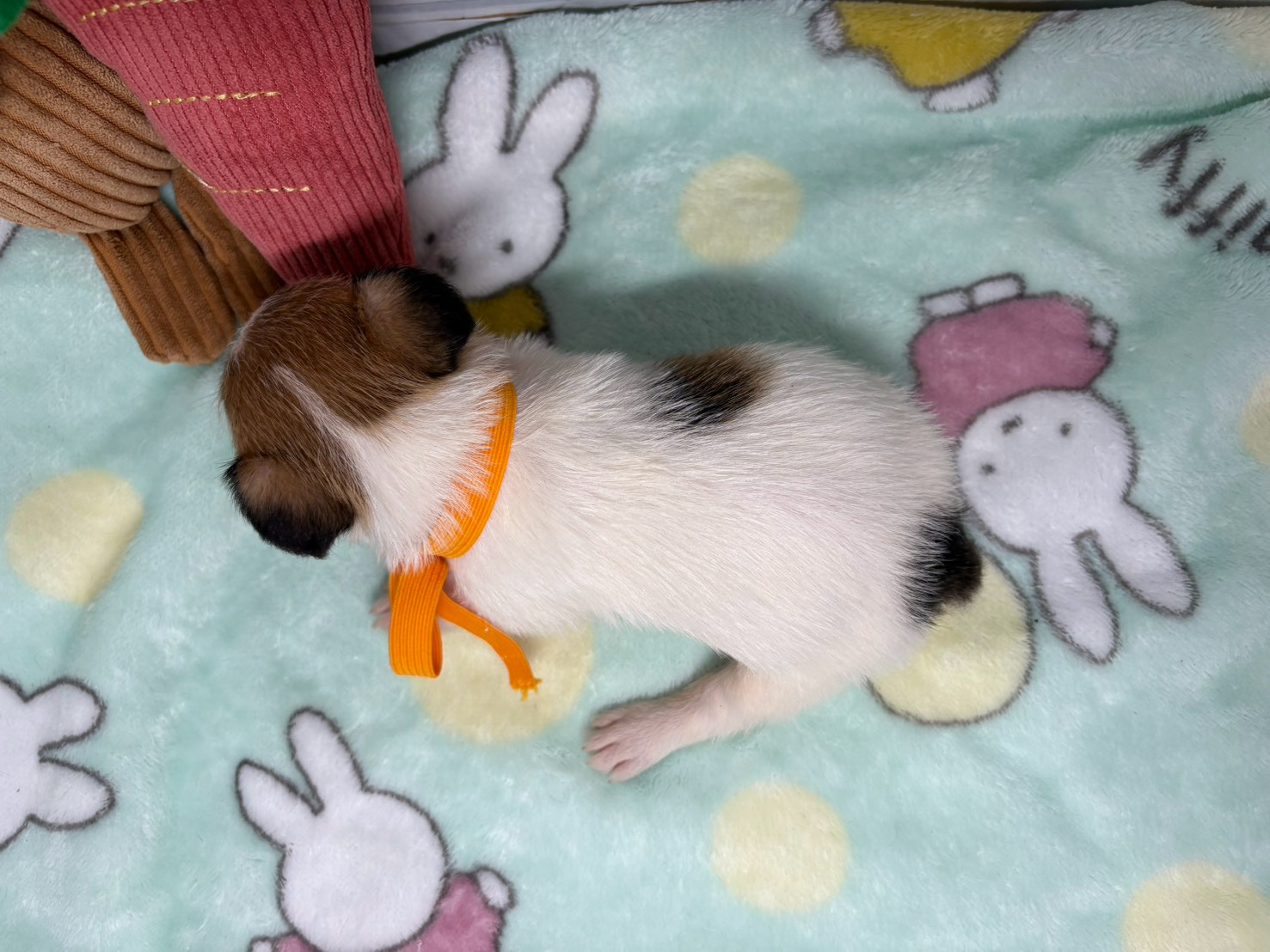 赤ちゃん写真2-3