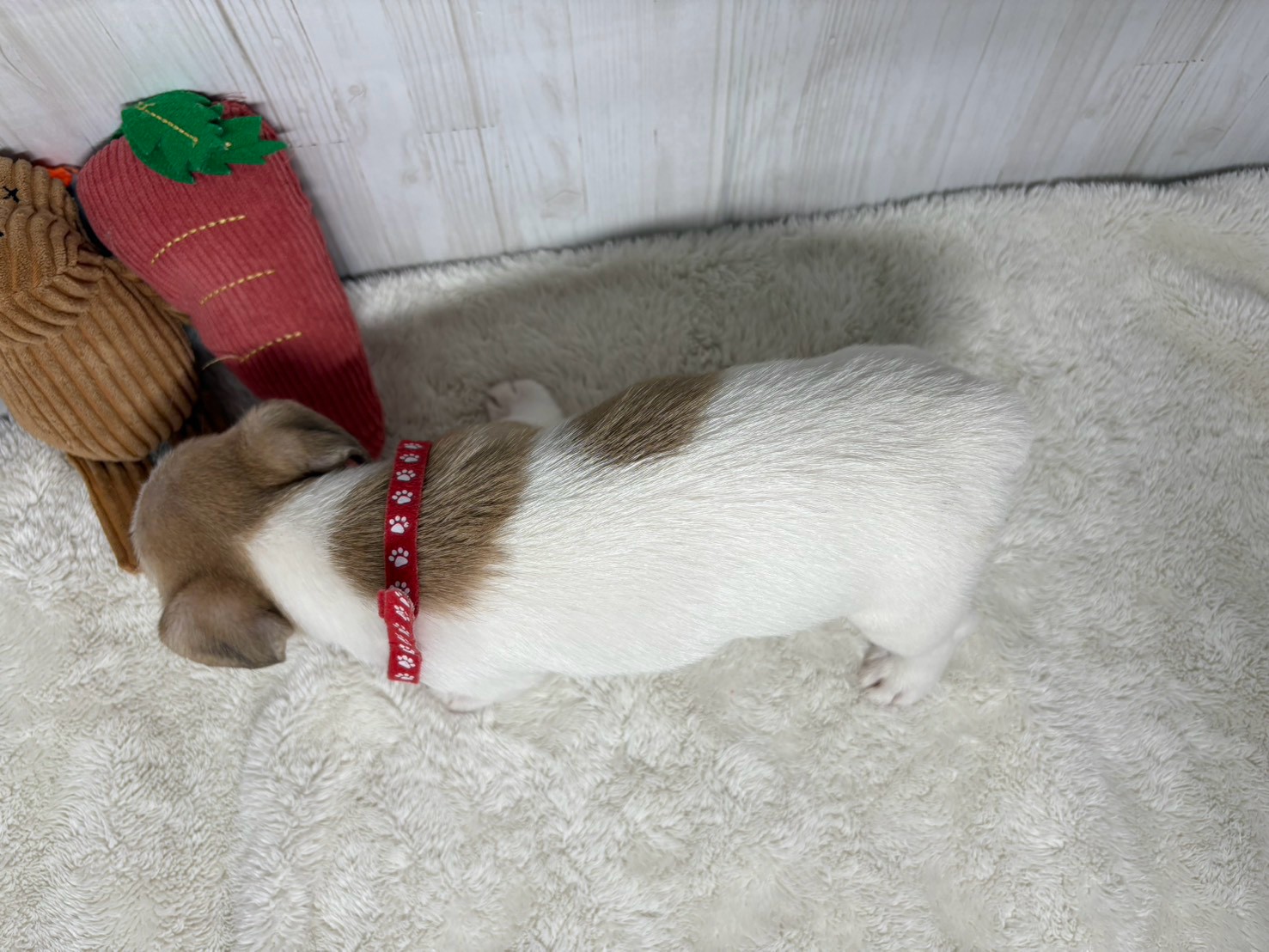 赤ちゃん写真3-3