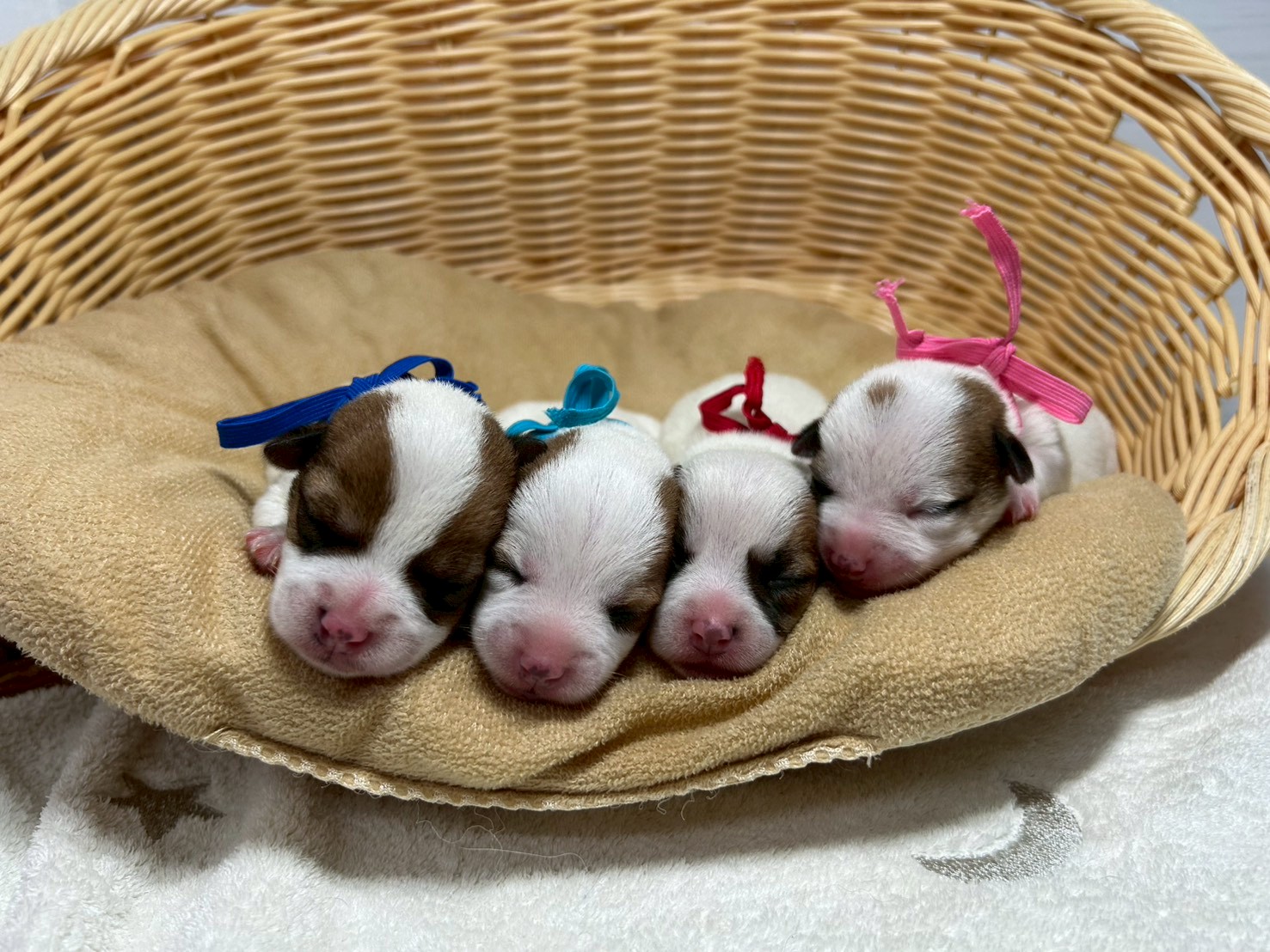 赤ちゃん写真1-3
