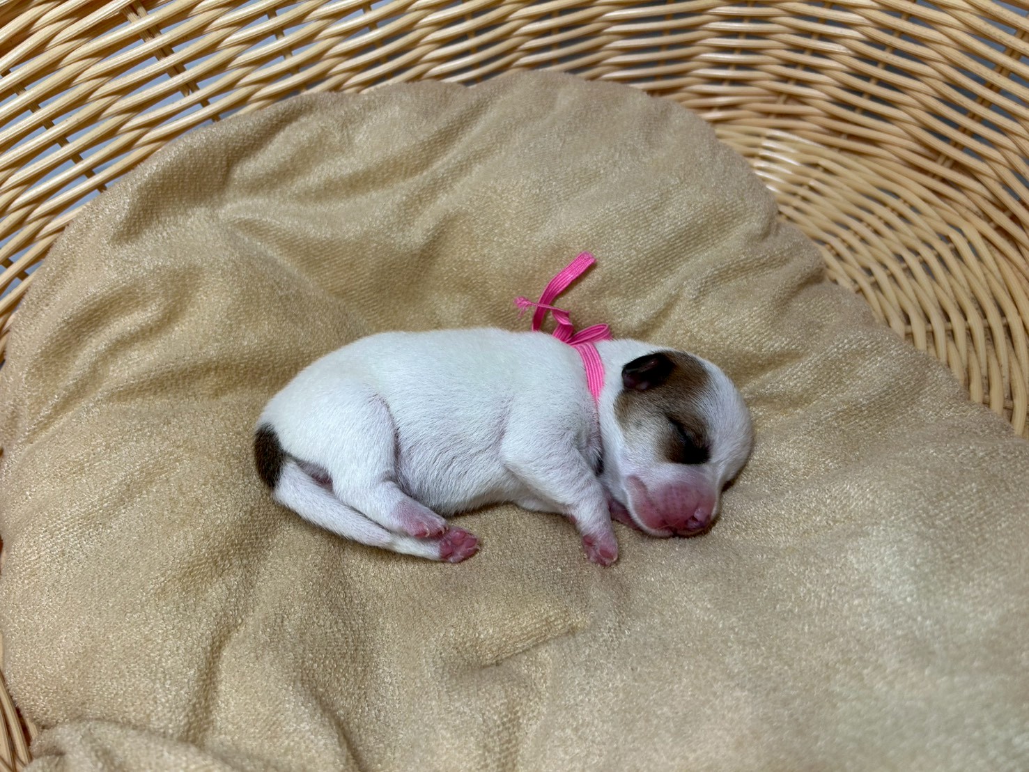 赤ちゃん写真1-2