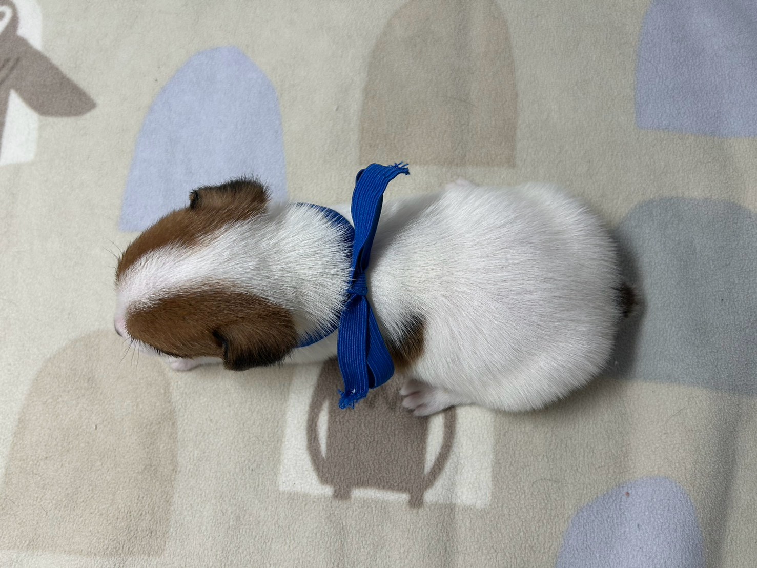赤ちゃん写真2-3
