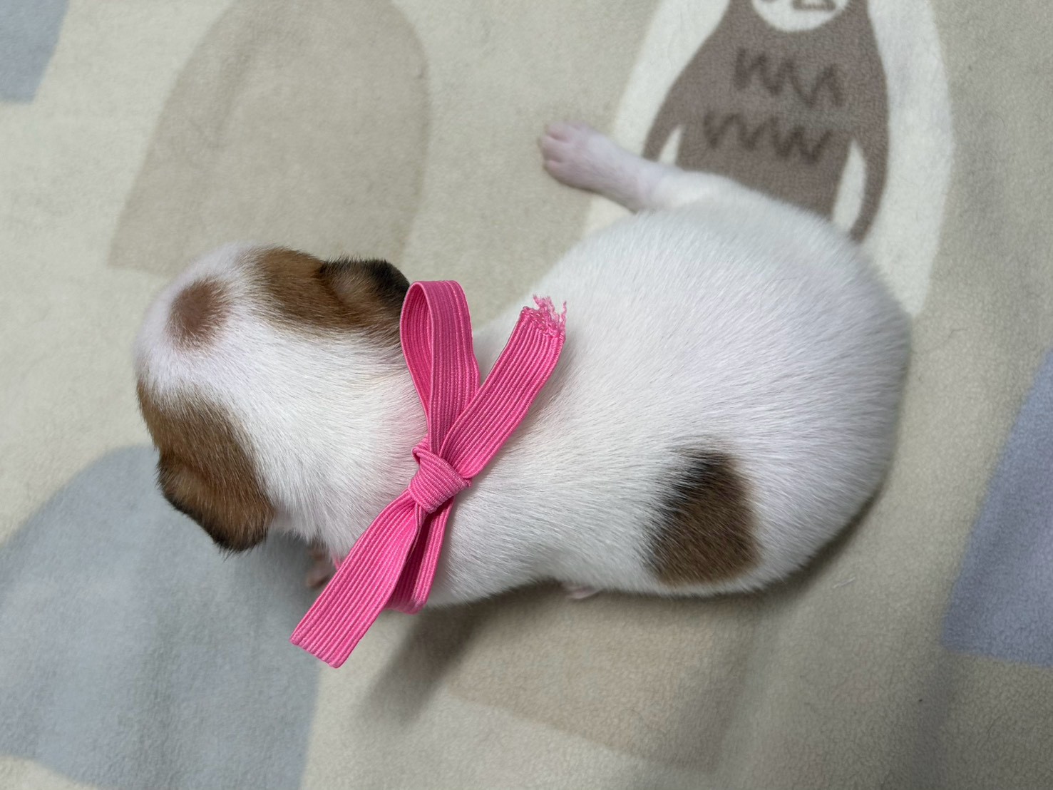 赤ちゃん写真2-3
