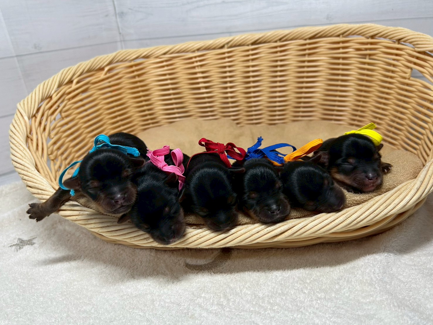 赤ちゃん写真1-3