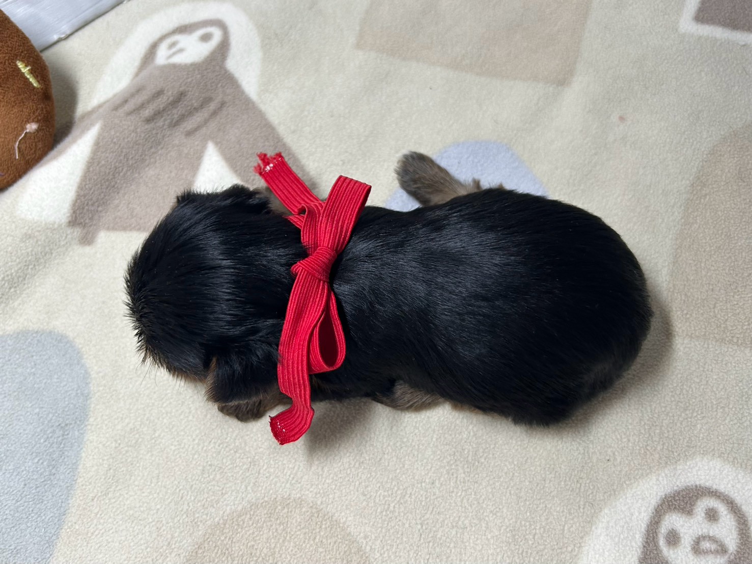 赤ちゃん写真2-3