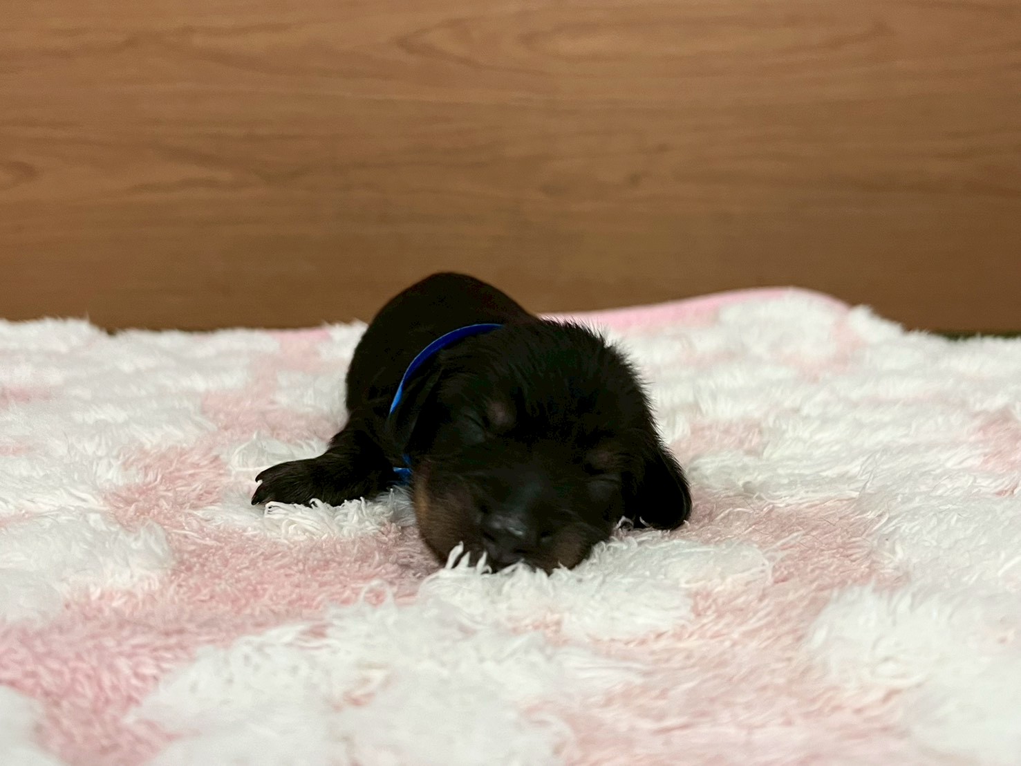 赤ちゃん写真1-1
