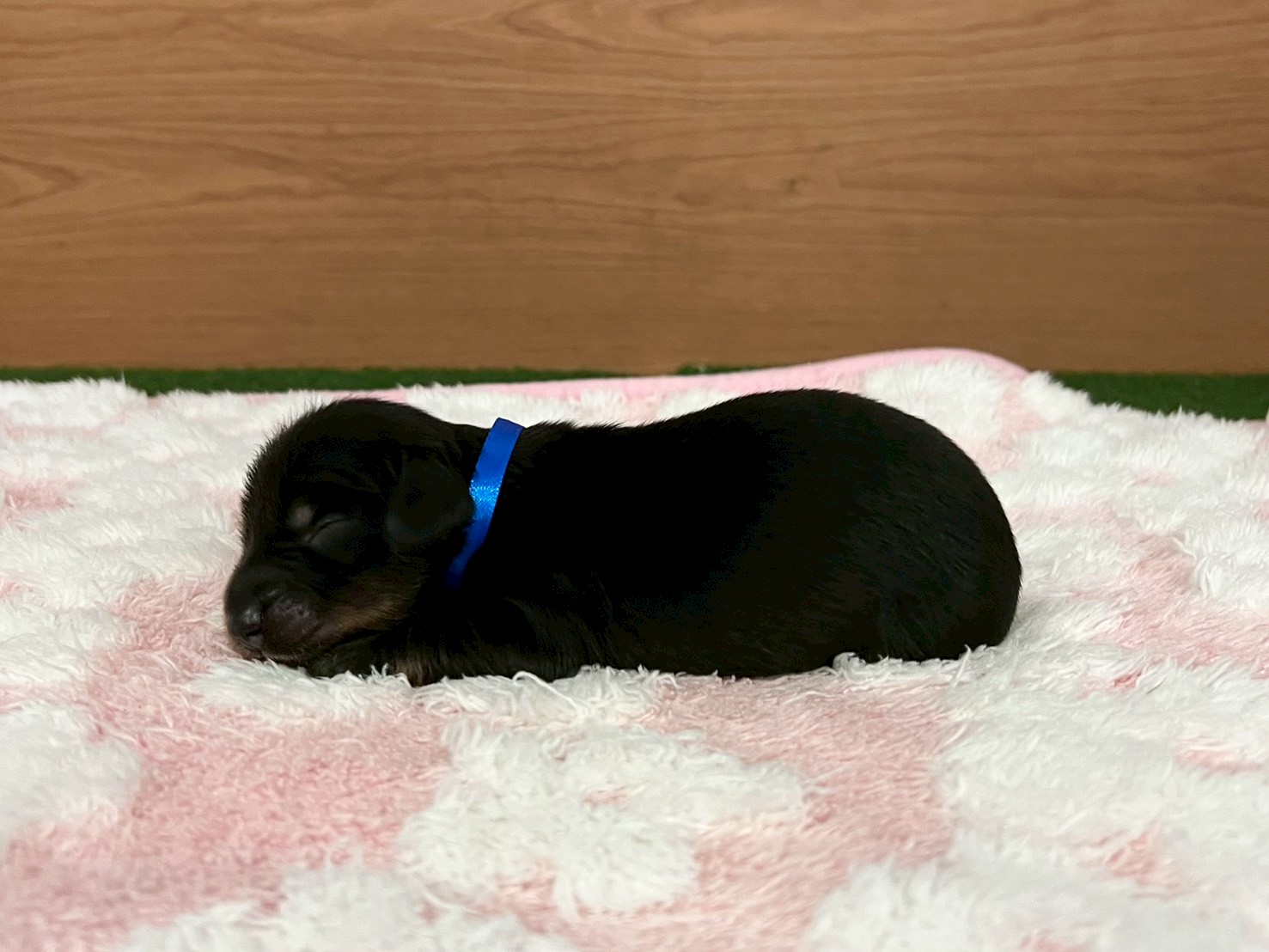赤ちゃん写真1-2