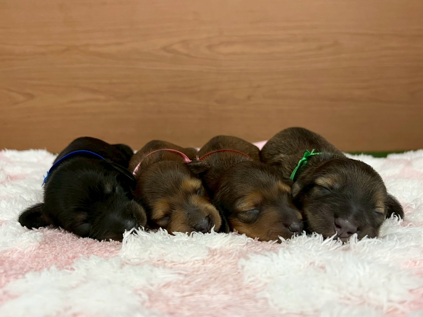 赤ちゃん写真1-3