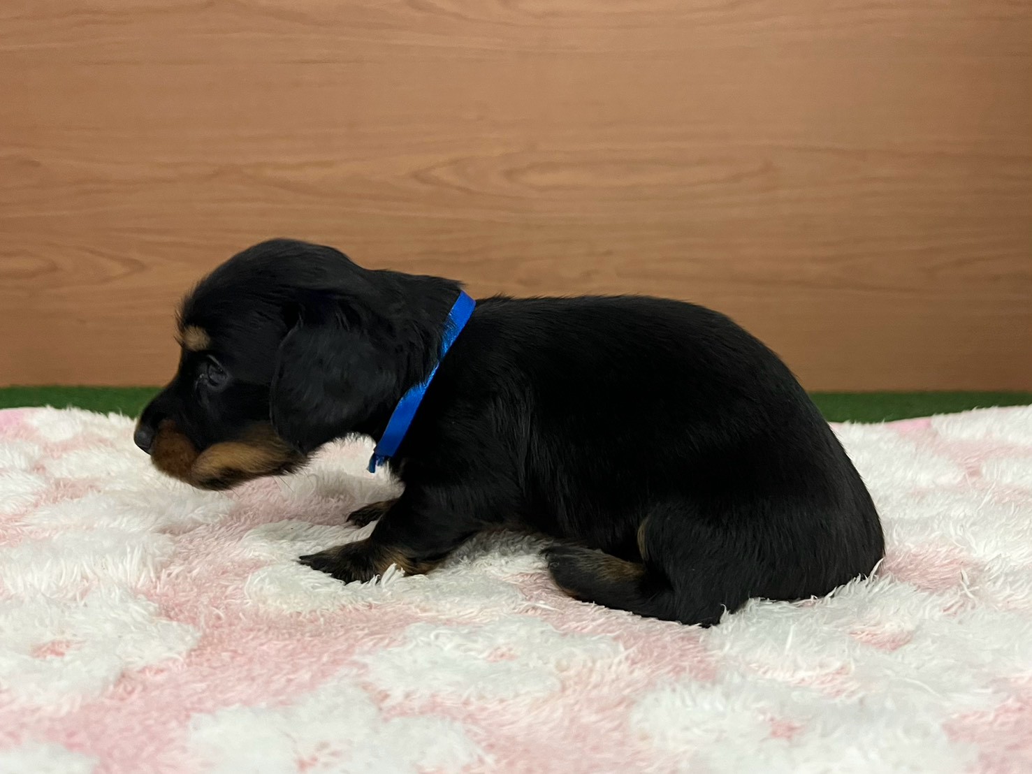 赤ちゃん写真2-2