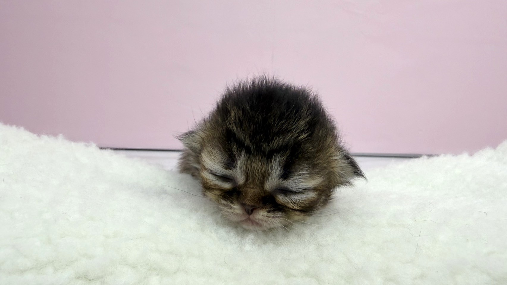 赤ちゃん写真1-1
