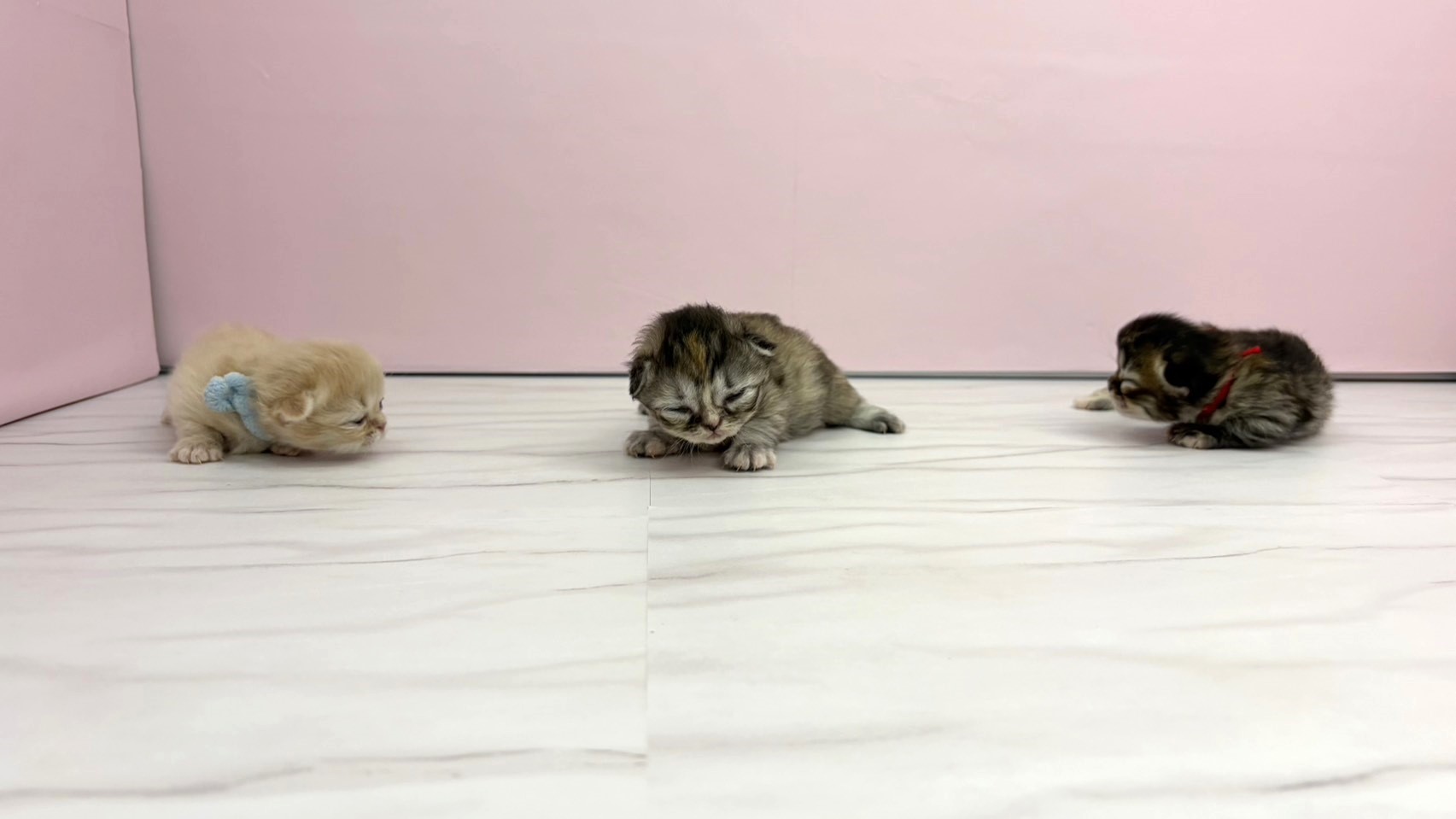 赤ちゃん写真1-3