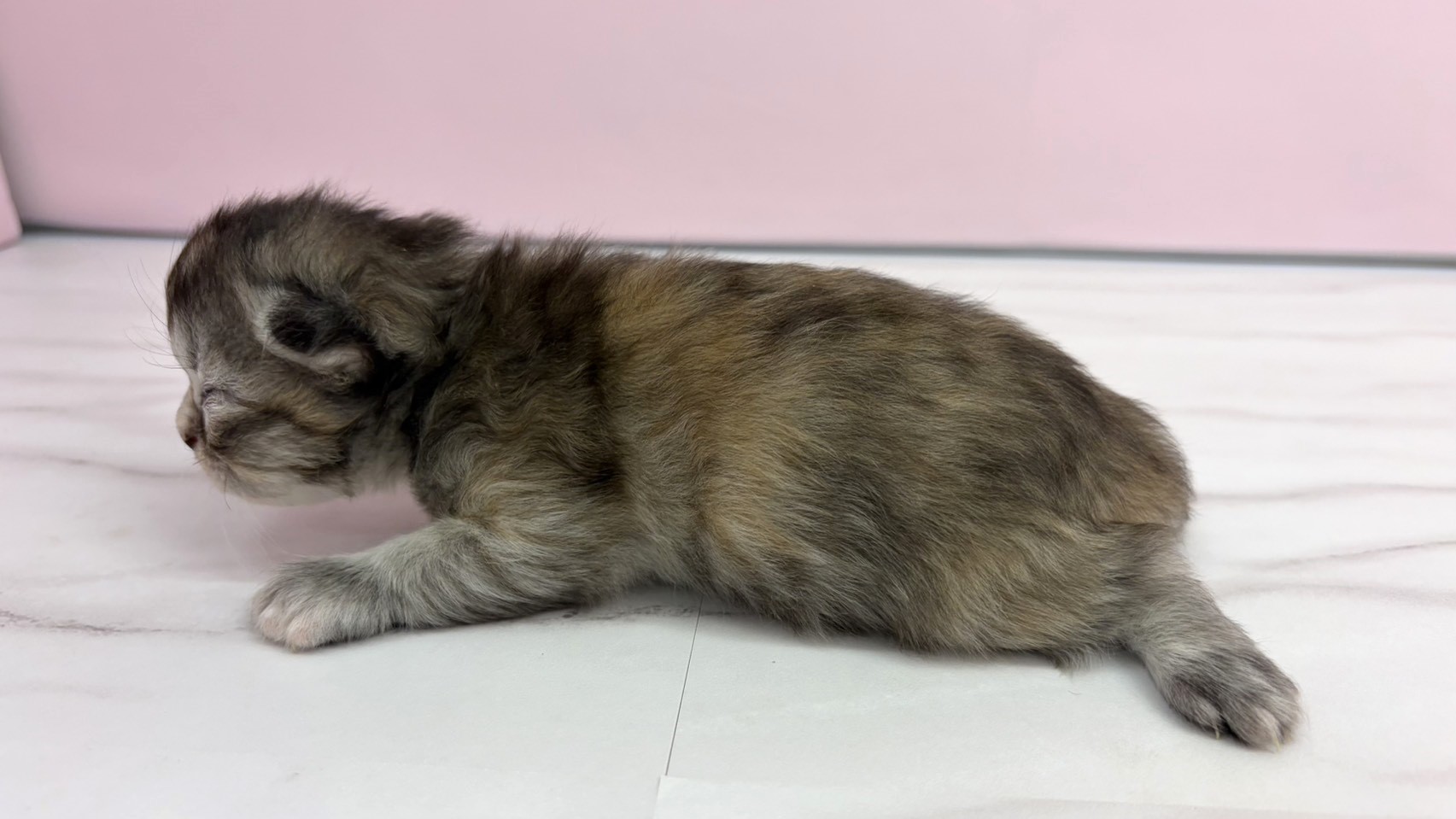 赤ちゃん写真1-2