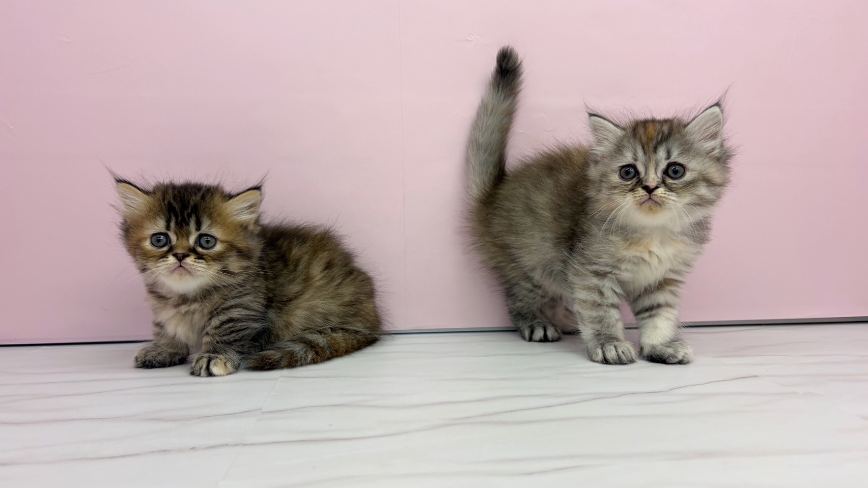 赤ちゃん写真2-3