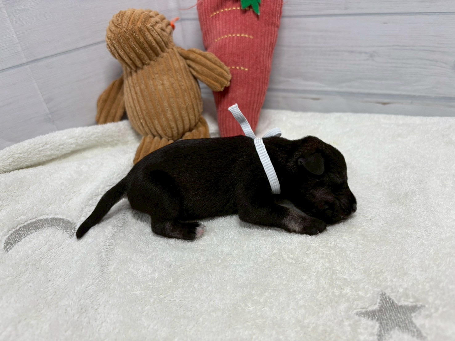 赤ちゃん写真1-2
