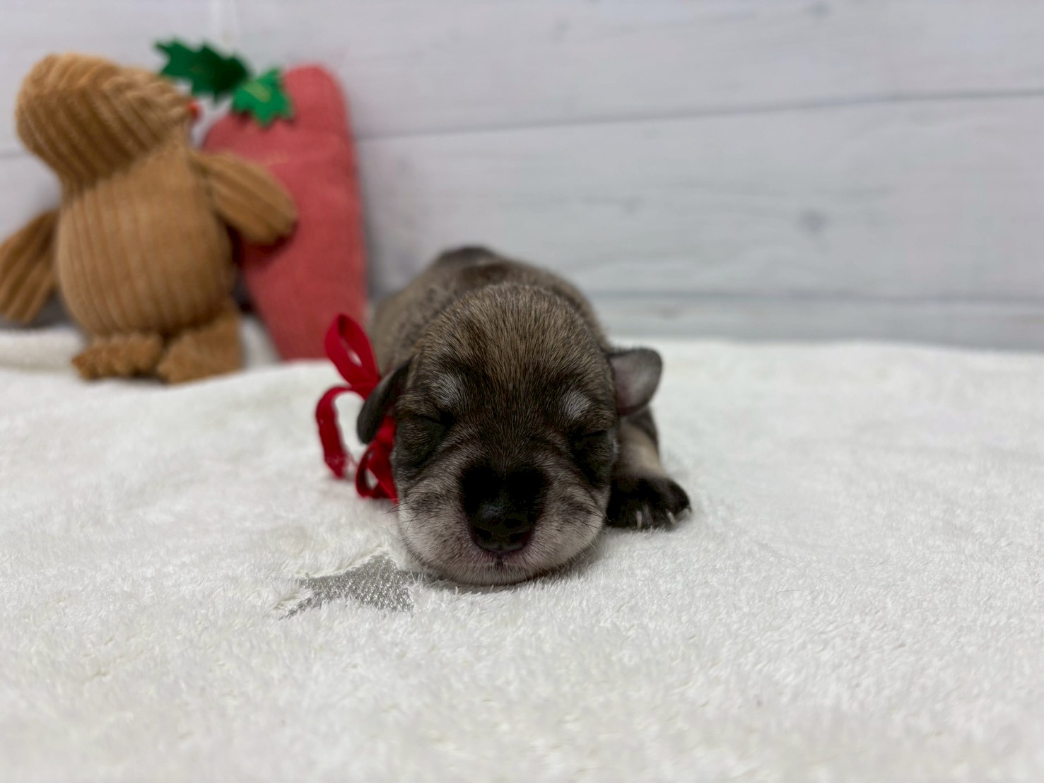 赤ちゃん写真1-1