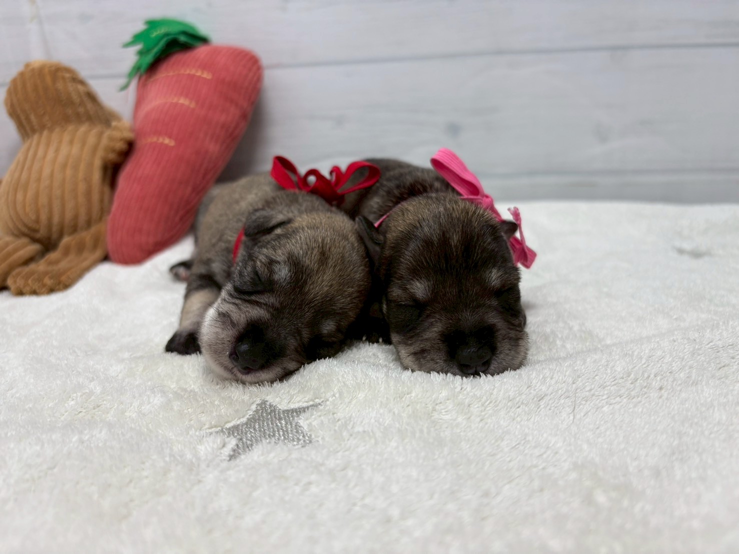 赤ちゃん写真1-3