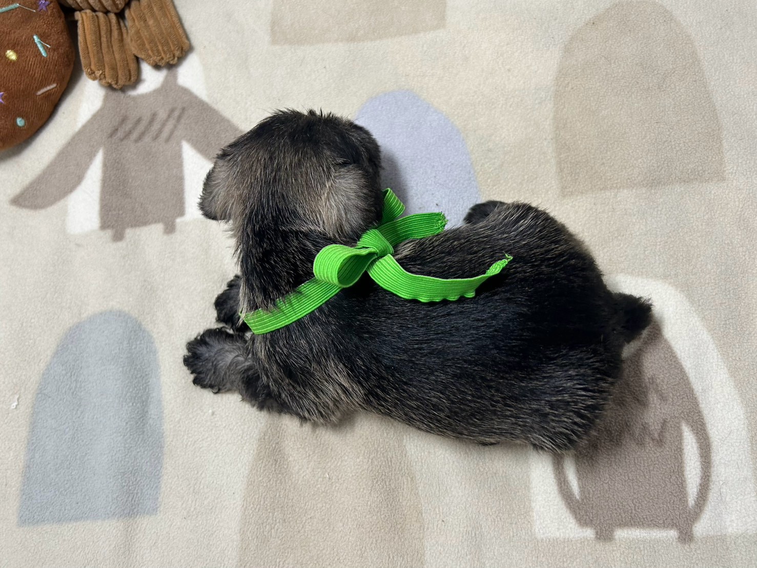 赤ちゃん写真2-3