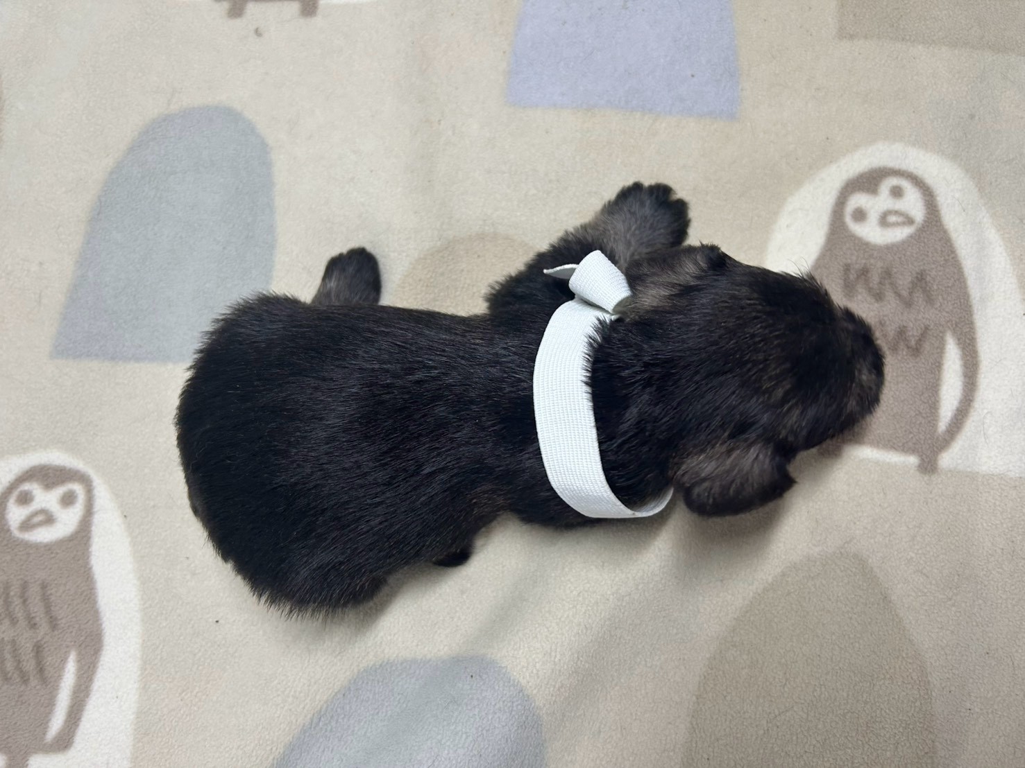 赤ちゃん写真2-3