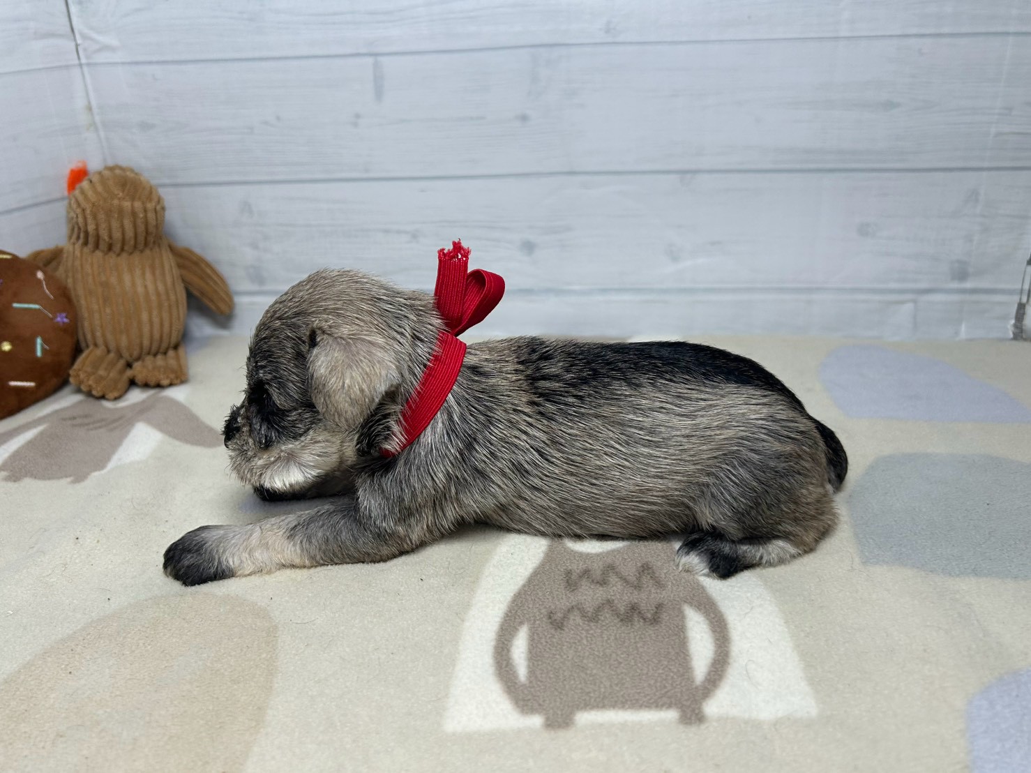 赤ちゃん写真2-2