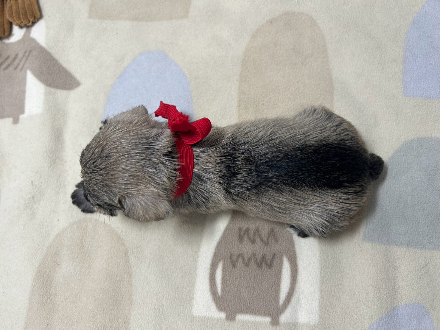 赤ちゃん写真2-3