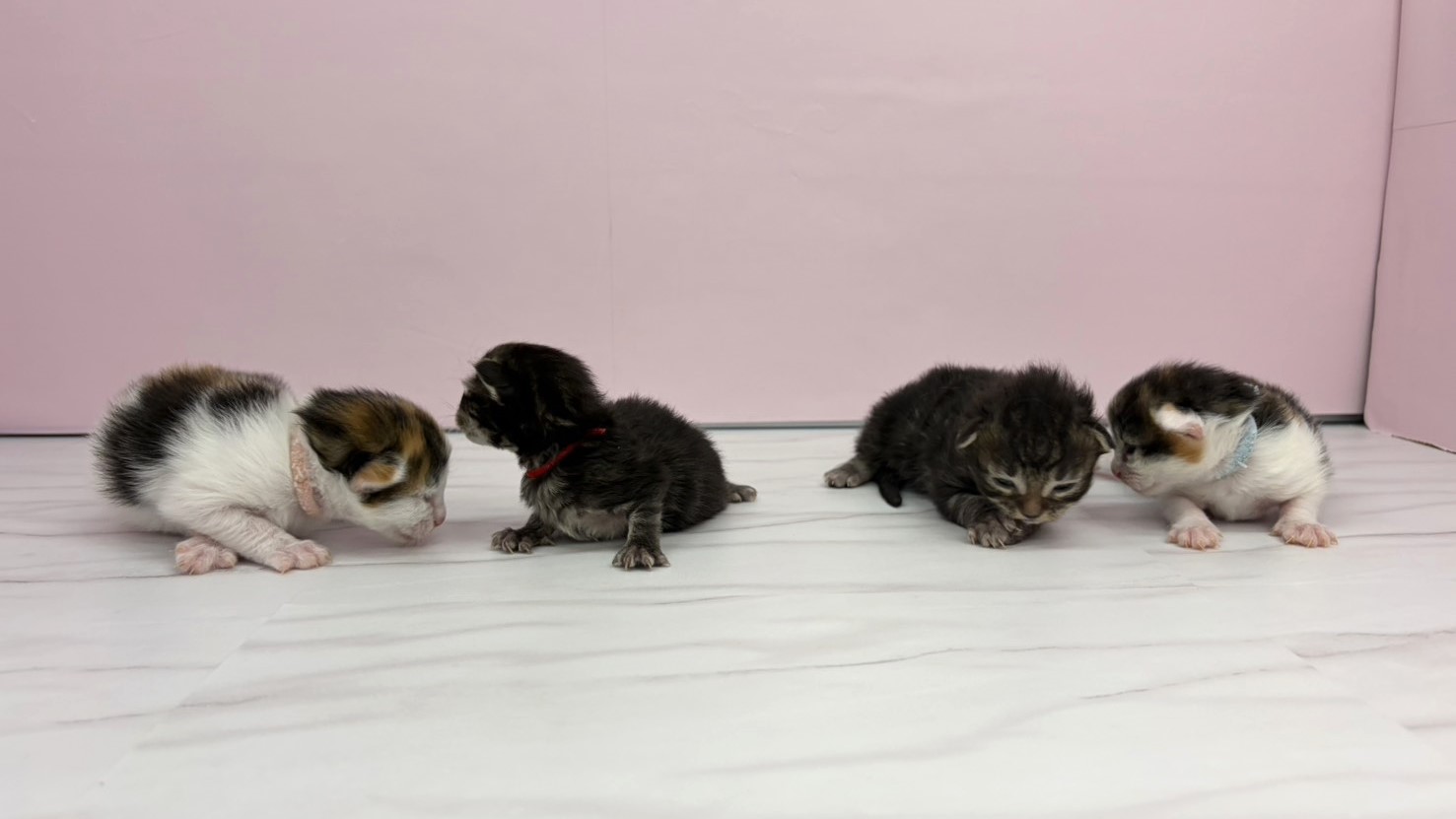 赤ちゃん写真1-3