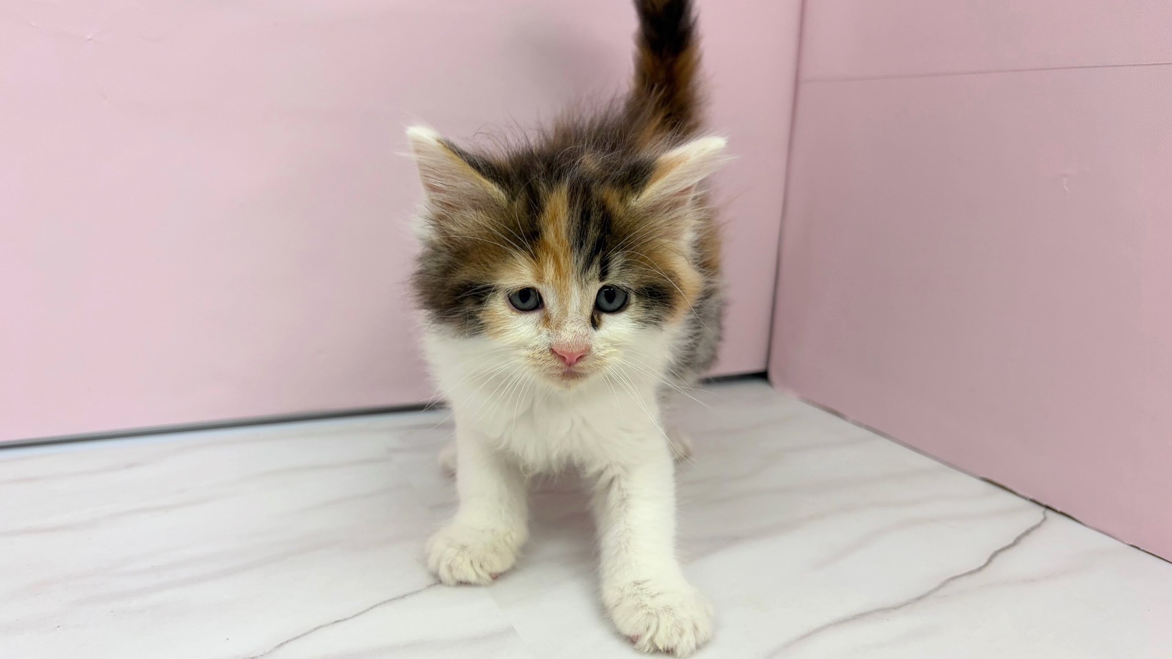 赤ちゃん写真2-1