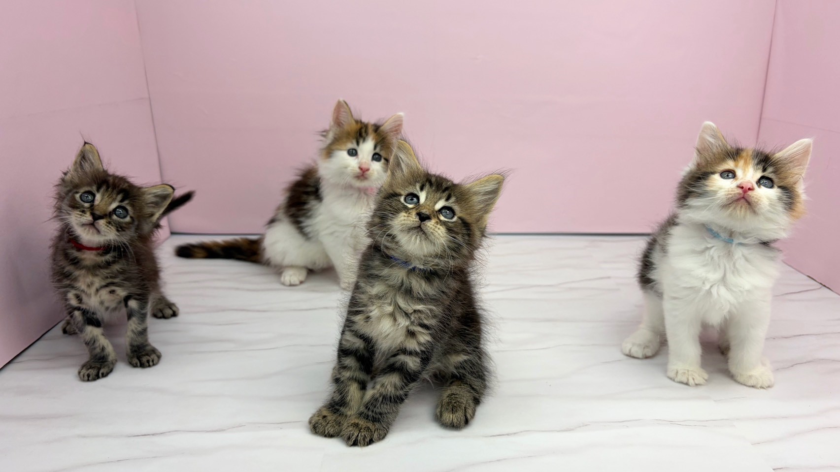 赤ちゃん写真2-3