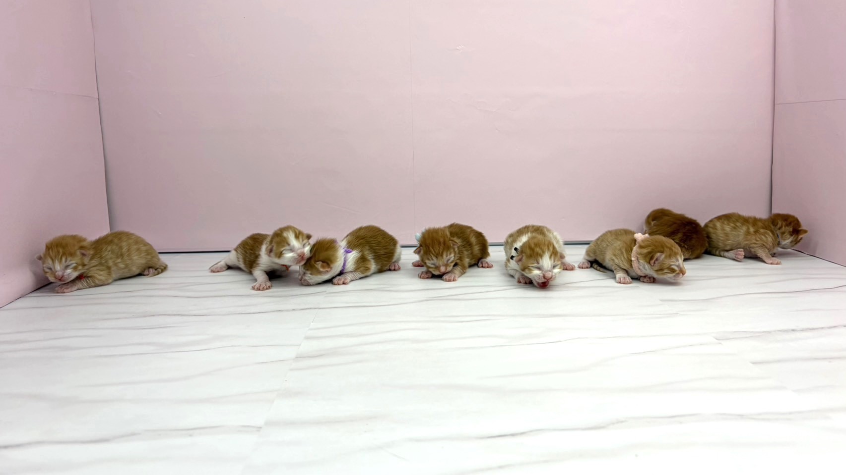 赤ちゃん写真1-3