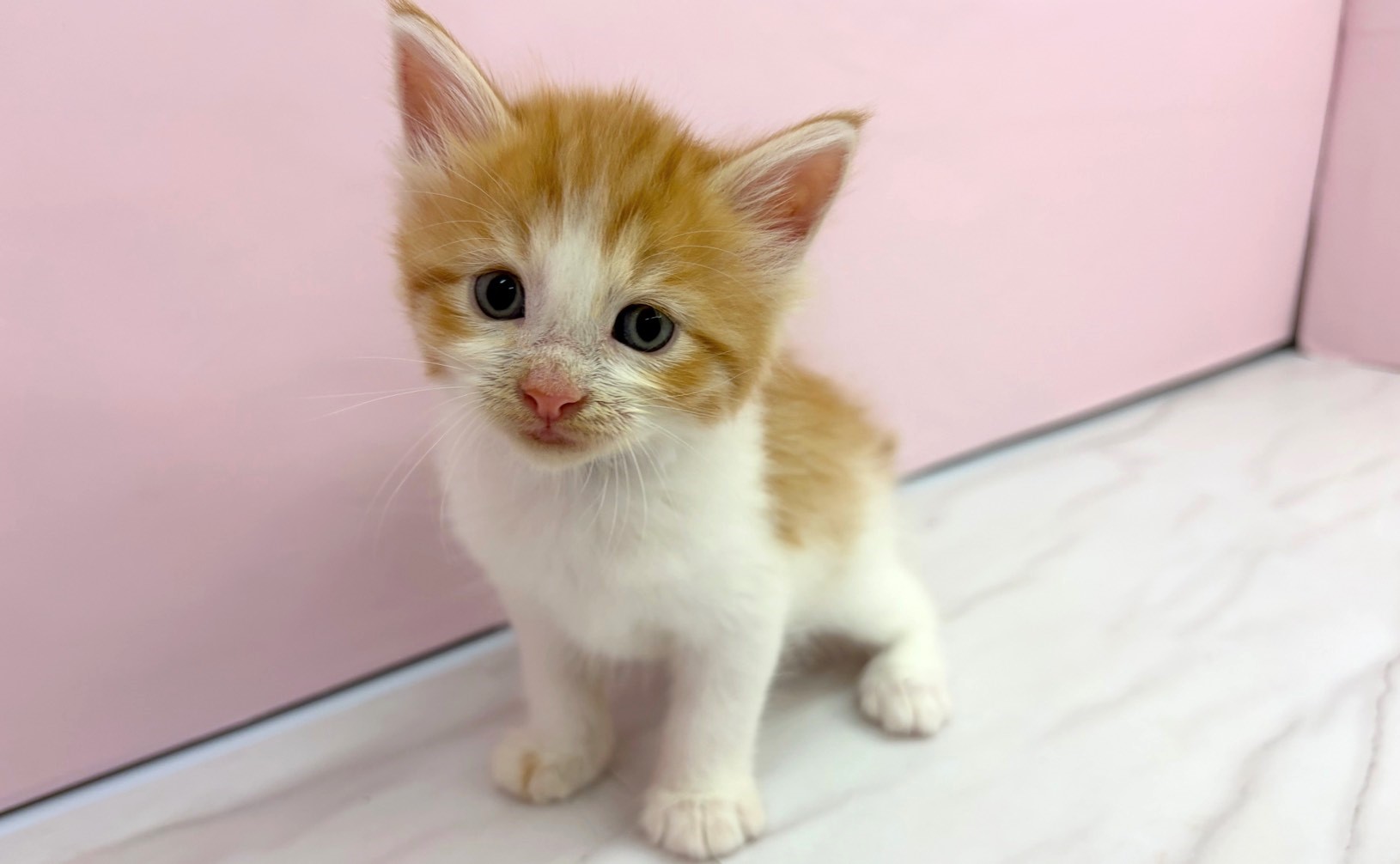 赤ちゃん写真2-1