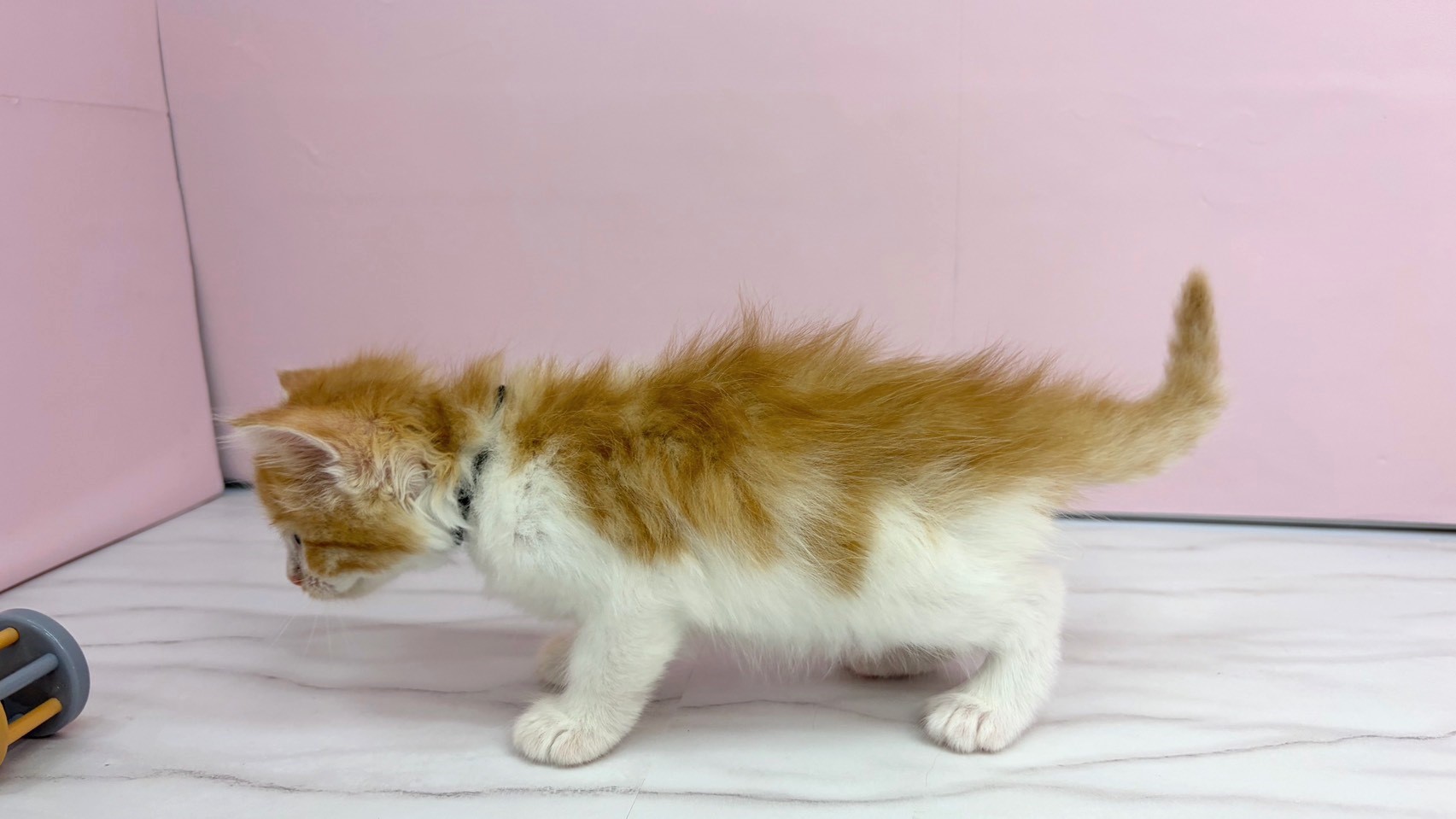 赤ちゃん写真2-2